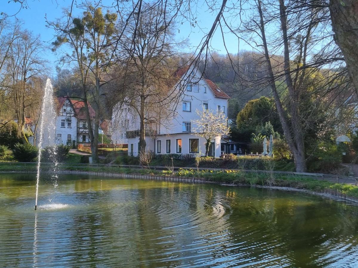 Parkhotel Am Schwanenteich 3* Bad Sooden-Allendorf