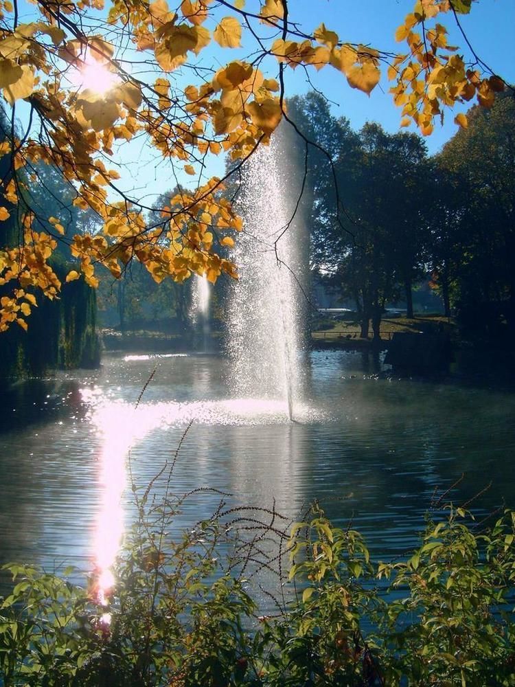 Parkhotel Am Schwanenteich 3*